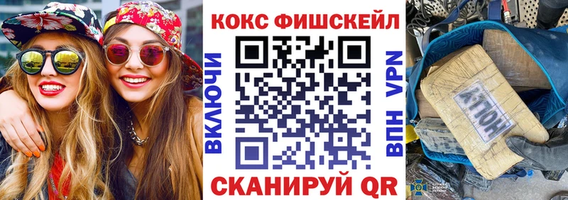 Cocaine Fish Scale  это состав  Курган  закладки 