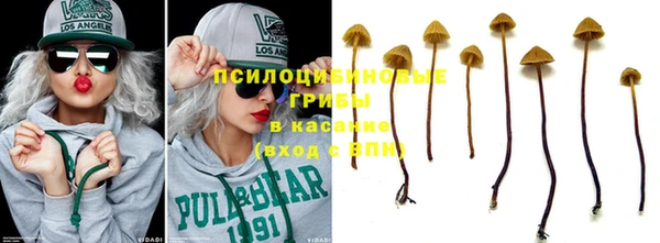 крисы Вяземский